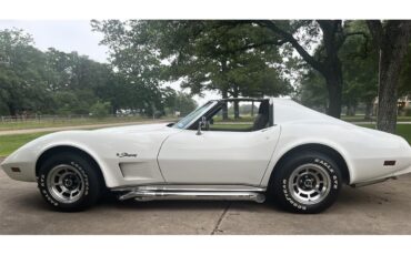 Chevrolet-Corvette-1976-White-Brown-5