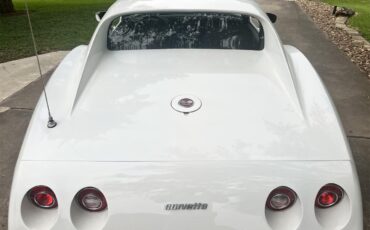 Chevrolet-Corvette-1976-White-Brown-6