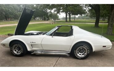 Chevrolet-Corvette-1976-White-Brown-7