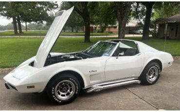 Chevrolet-Corvette-1976-White-Brown-8
