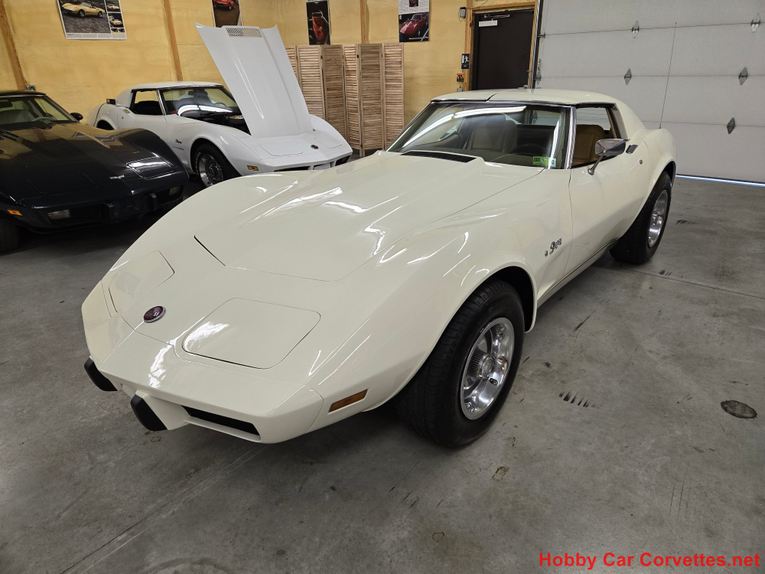 Chevrolet-Corvette-1976-White-Tan-1