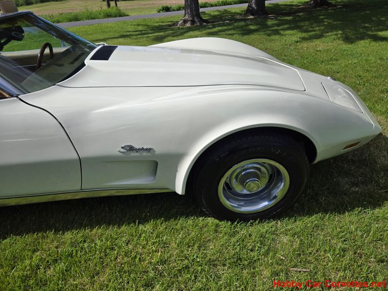 Chevrolet-Corvette-1976-White-Tan-12