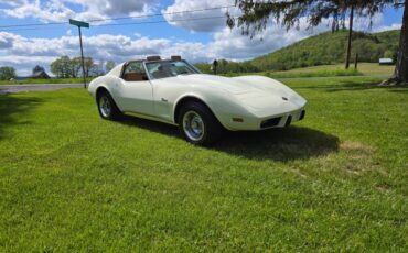 Chevrolet-Corvette-1976-White-Tan-13
