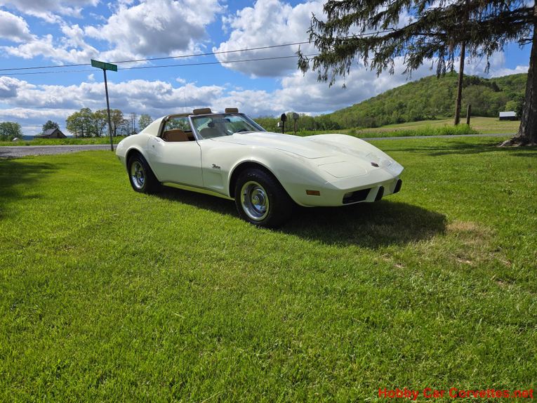 Chevrolet-Corvette-1976-White-Tan-13