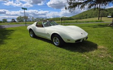 Chevrolet-Corvette-1976-White-Tan-2