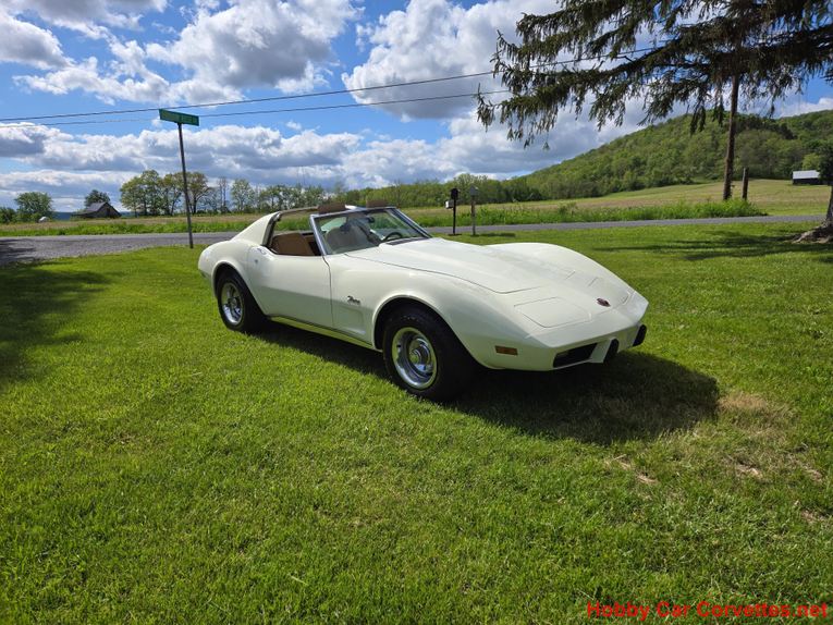 Chevrolet-Corvette-1976-White-Tan-2