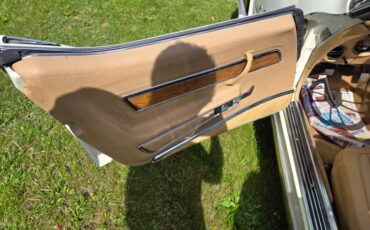 Chevrolet-Corvette-1976-White-Tan-23