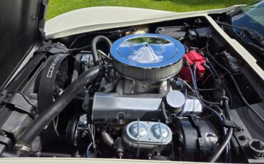 Chevrolet-Corvette-1976-White-Tan-24