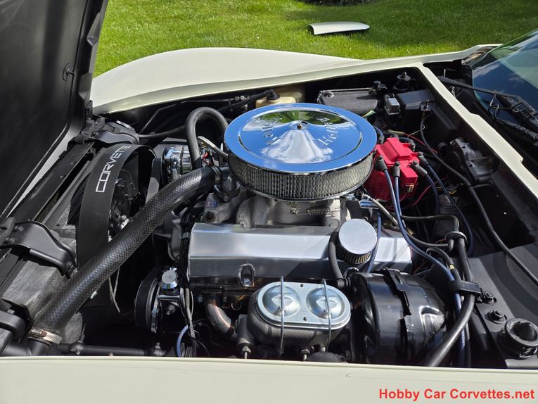 Chevrolet-Corvette-1976-White-Tan-24