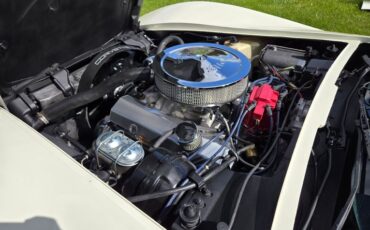 Chevrolet-Corvette-1976-White-Tan-25