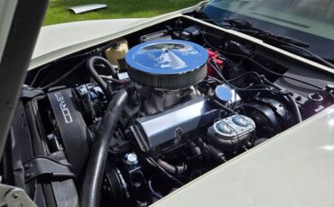 Chevrolet-Corvette-1976-White-Tan-26