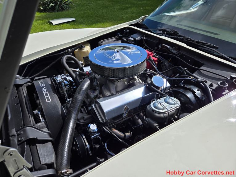 Chevrolet-Corvette-1976-White-Tan-26