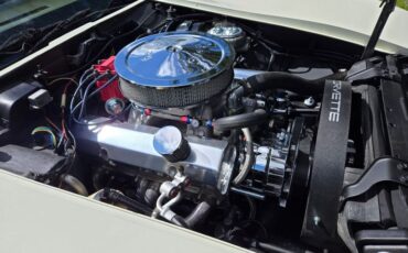 Chevrolet-Corvette-1976-White-Tan-27