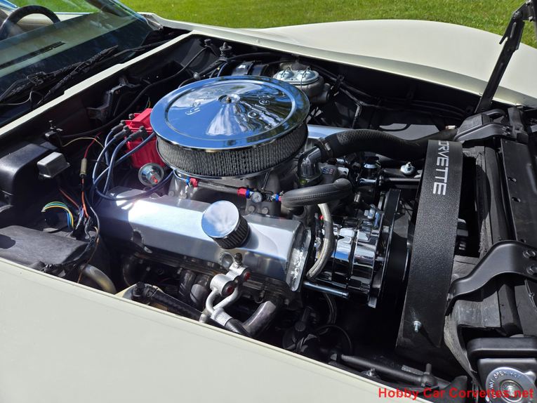 Chevrolet-Corvette-1976-White-Tan-27