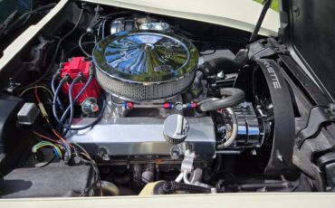 Chevrolet-Corvette-1976-White-Tan-28