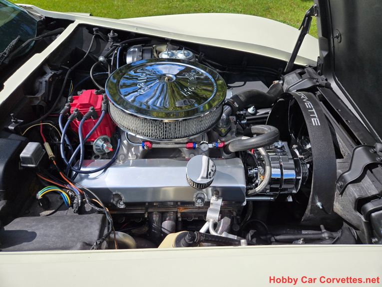 Chevrolet-Corvette-1976-White-Tan-28