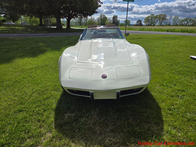 Chevrolet-Corvette-1976-White-Tan-3