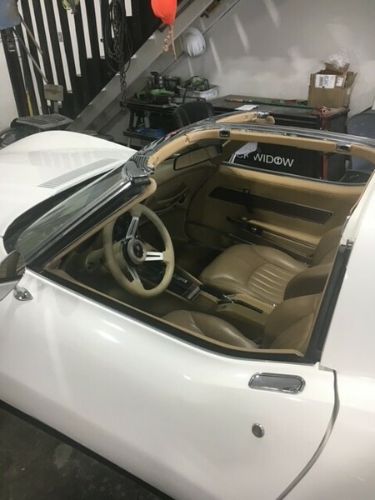 Chevrolet-Corvette-1976-White-Tan-3