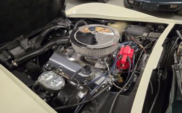 Chevrolet-Corvette-1976-White-Tan-30