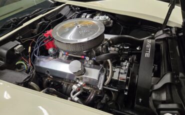 Chevrolet-Corvette-1976-White-Tan-32