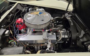 Chevrolet-Corvette-1976-White-Tan-33