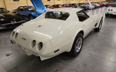Chevrolet-Corvette-1976-White-Tan-36