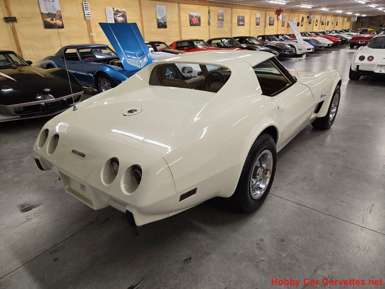 Chevrolet-Corvette-1976-White-Tan-36
