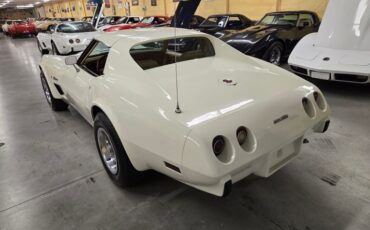Chevrolet-Corvette-1976-White-Tan-37