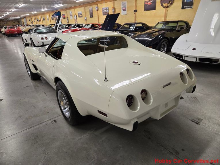 Chevrolet-Corvette-1976-White-Tan-37