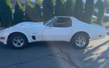 Chevrolet-Corvette-1976-White-Tan