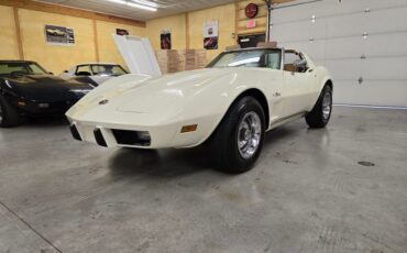 Chevrolet-Corvette-1976-White-Tan-39