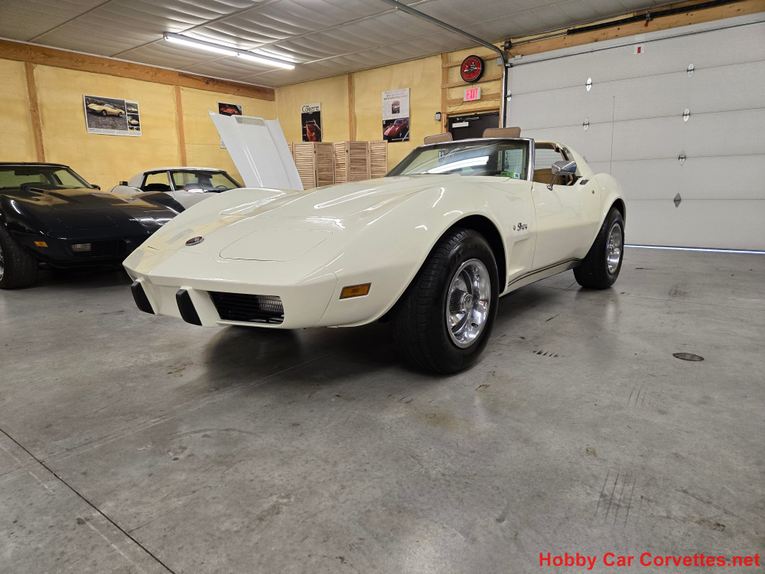 Chevrolet-Corvette-1976-White-Tan-39