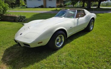 Chevrolet-Corvette-1976-White-Tan-4