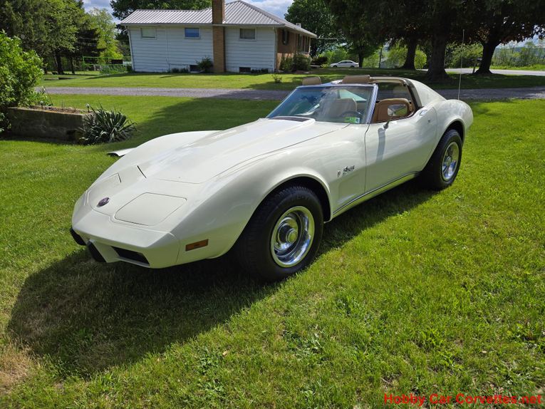 Chevrolet-Corvette-1976-White-Tan-4