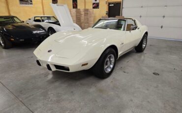 Chevrolet-Corvette-1976-White-Tan-40