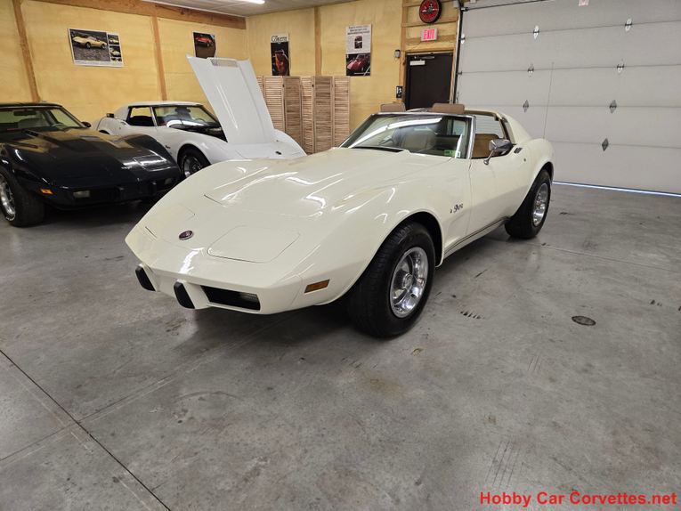 Chevrolet-Corvette-1976-White-Tan-40