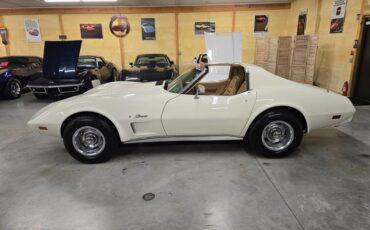 Chevrolet-Corvette-1976-White-Tan-41