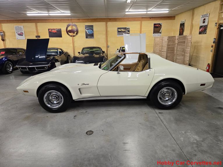 Chevrolet-Corvette-1976-White-Tan-41