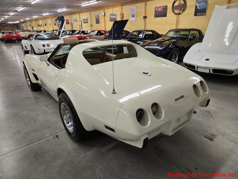 Chevrolet-Corvette-1976-White-Tan-42