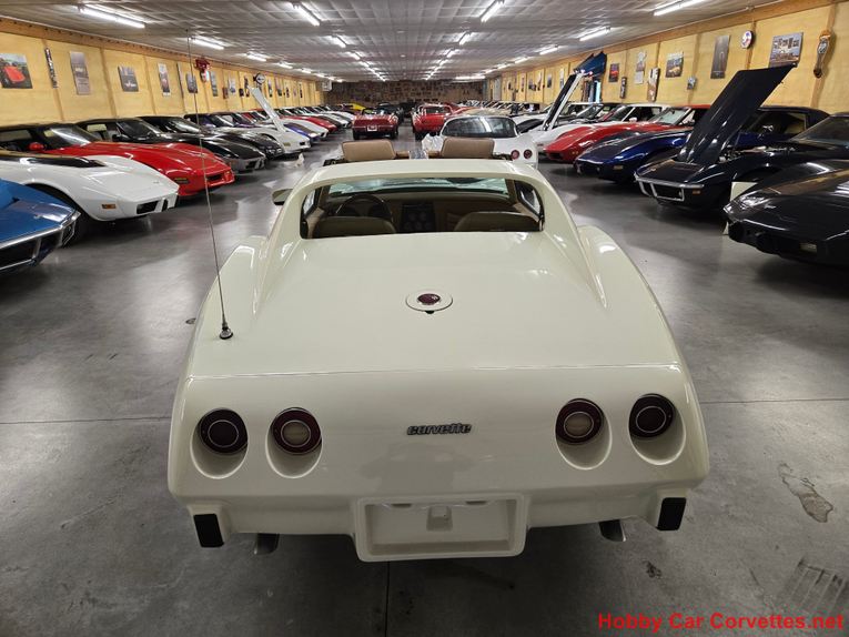 Chevrolet-Corvette-1976-White-Tan-43