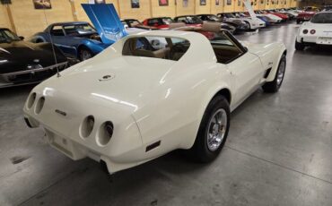 Chevrolet-Corvette-1976-White-Tan-44