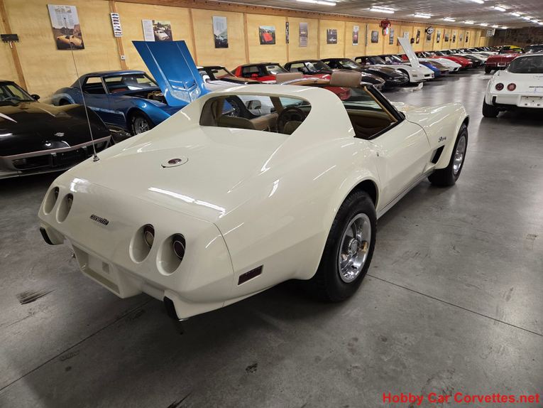 Chevrolet-Corvette-1976-White-Tan-44