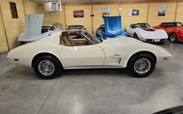 Chevrolet-Corvette-1976-White-Tan-45