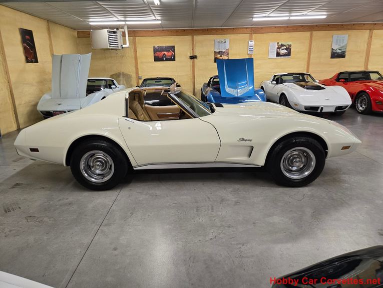 Chevrolet-Corvette-1976-White-Tan-45