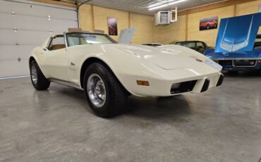 Chevrolet-Corvette-1976-White-Tan-46