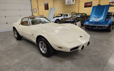 Chevrolet-Corvette-1976-White-Tan-47