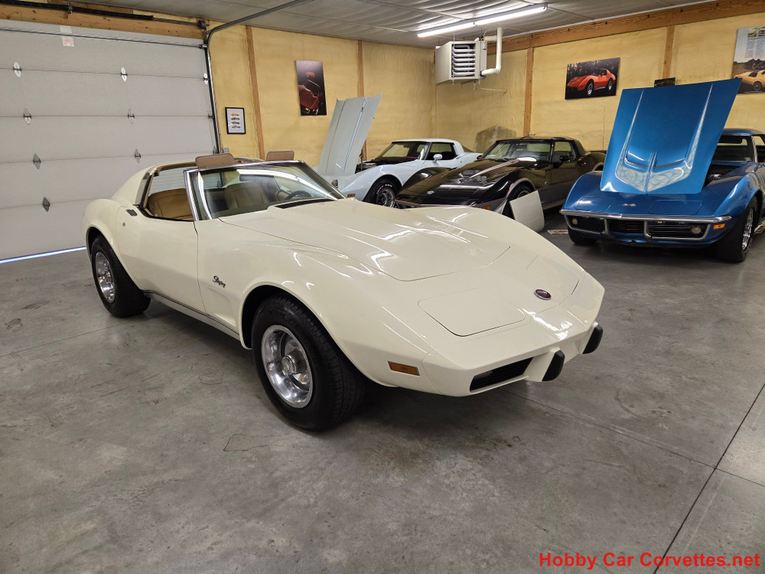 Chevrolet-Corvette-1976-White-Tan-47