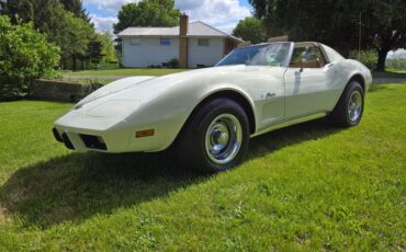 Chevrolet-Corvette-1976-White-Tan-5