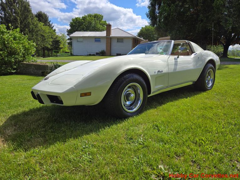 Chevrolet-Corvette-1976-White-Tan-5