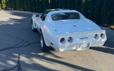 Chevrolet-Corvette-1976-White-Tan-5